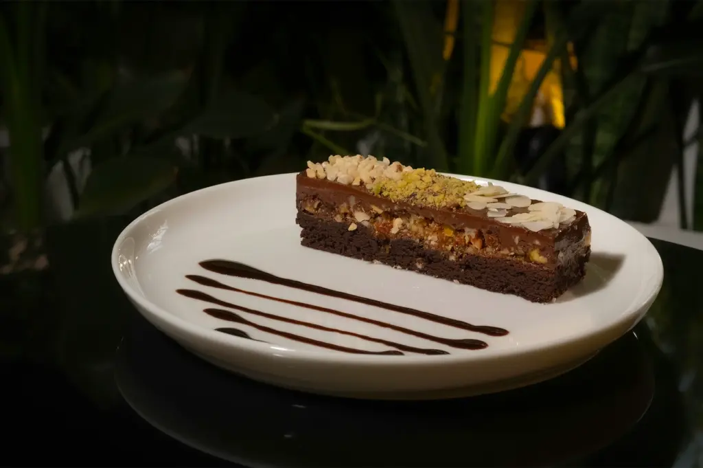 A landscape photo of a sweet decadent chocolate cake, elegantly plated with chocolate sauce lines on a white plate. Behind the dessert is a lush plant.